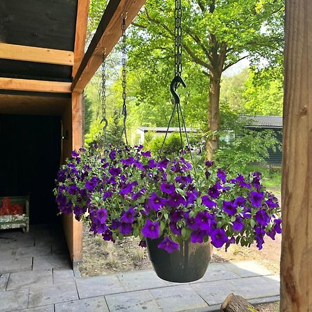 Wellness In The Woods - 4P Tinyhouse Met Prive Sauna & Hottub Diessen Exteriör bild